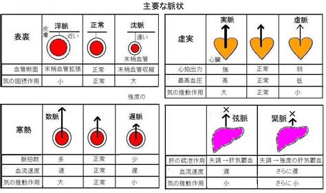 脈象 弦細